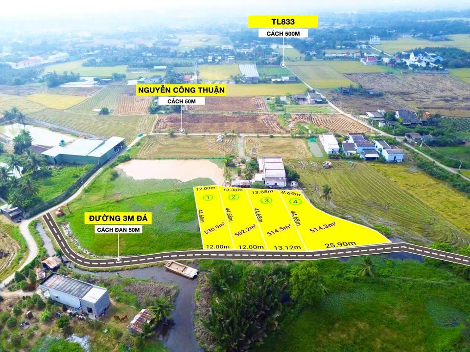 Đất vườn xã Đức Tân, Tân Trụ 500m² chỉ 400 triệu - Sổ hồng riêng chính chủ!