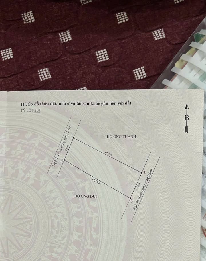 Đất nền Hồng Bàng Hải Phòng 73m² giá 1.3 tỷ - Đầu tư sinh lời ngay!