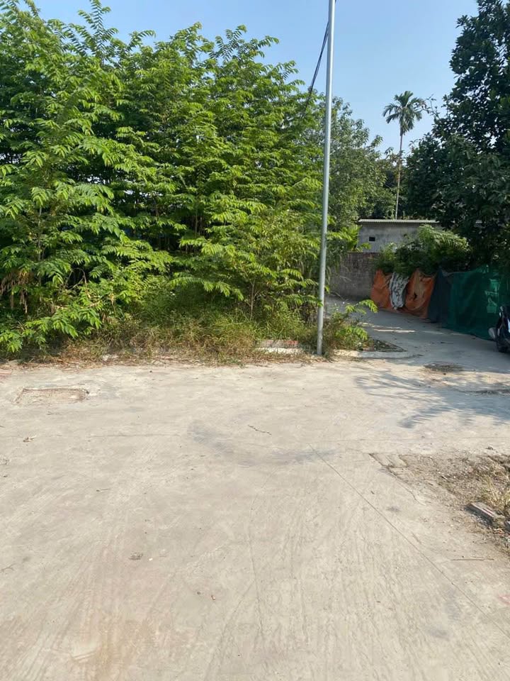 Đất nền Hồng Thái - An Dương 60m² giá 1.3 tỷ - Đầu tư sinh lời ngay!