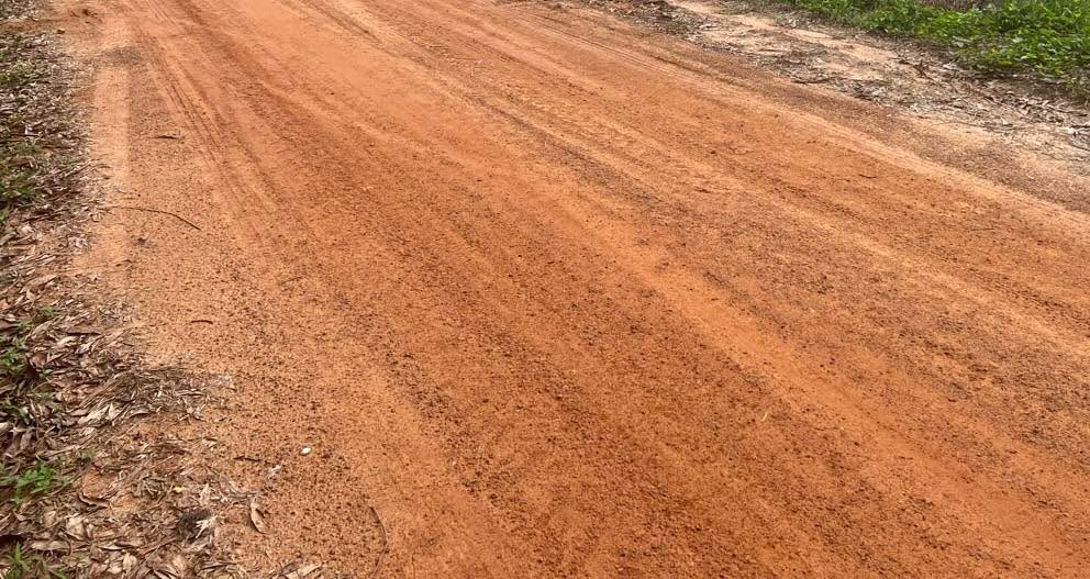 Đất nền ấp Nam Bến Sỏi, Tây Ninh - Diện tích 125m² giá chỉ 185 triệu - Cơ hội đầu tư tuyệt vời!