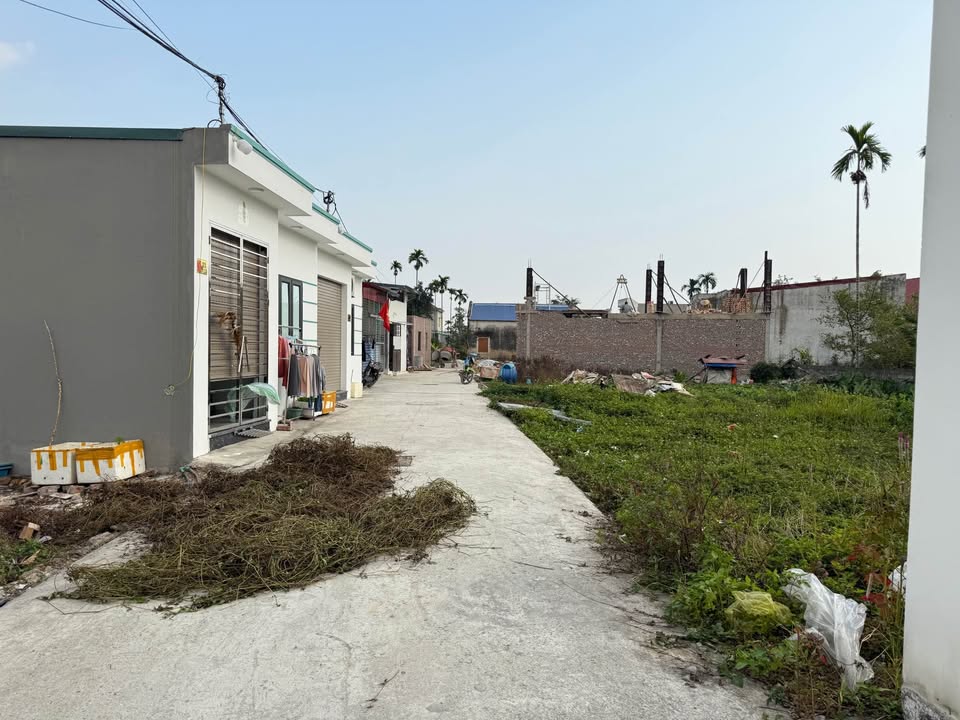 Đất nền Quốc Tuấn - An Dương 60m² giá 690 triệu - Đầu tư sinh lời ngay!