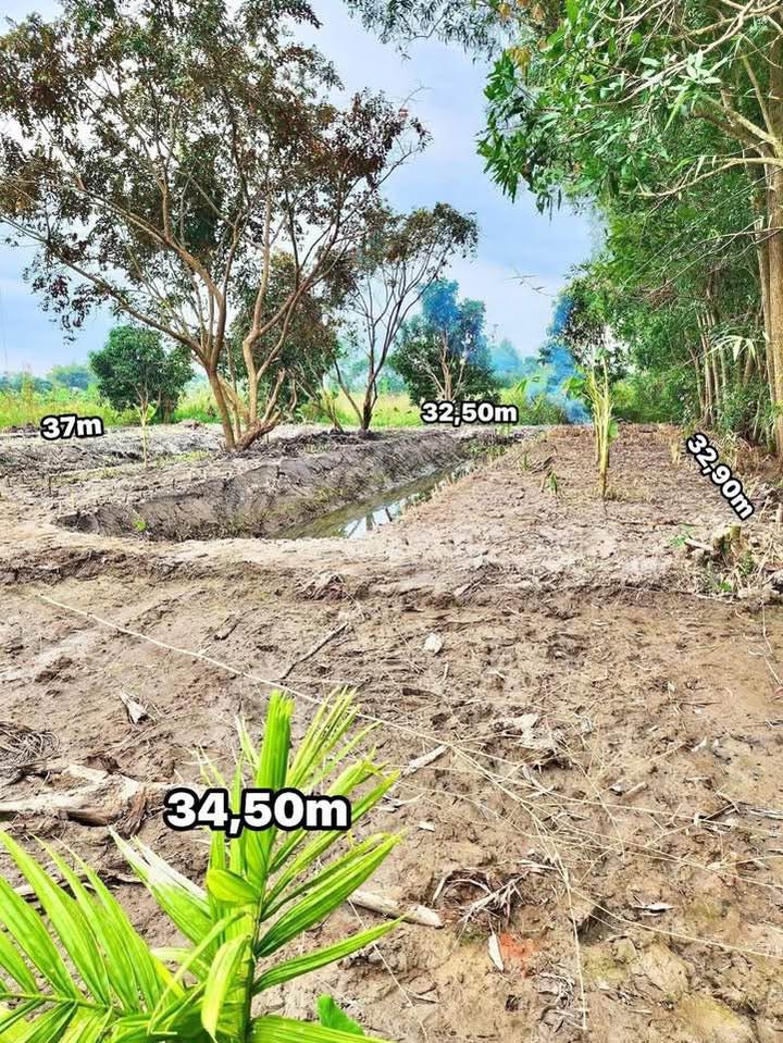 Đất thổ cư 1494m² Tân Thới, Phong Điền - Giá chỉ 1.05 tỷ, pháp lý rõ ràng!