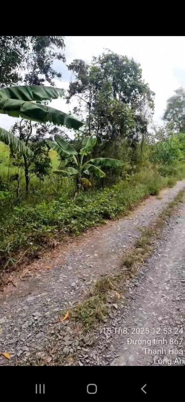 Đất nền Thủy Đông, Thạnh Hóa, Long An 38400m² giá 2.4 tỷ - Cơ hội đầu tư tuyệt vời!