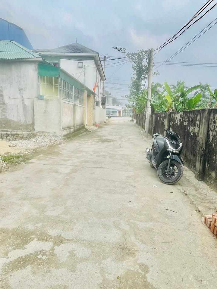 Đất nền xóm 8, phường Hưng Đạo, 109m² giá 2 tỷ - Đầu tư sinh lời không thể bỏ lỡ!