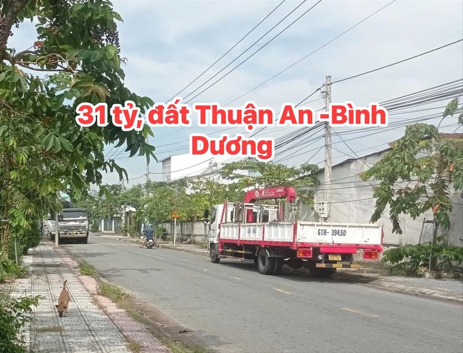 Đất lớn 1980m² tại Bình Nhâm, Thuận An chỉ 31 tỷ - Tiềm năng phát triển vượt bậc!