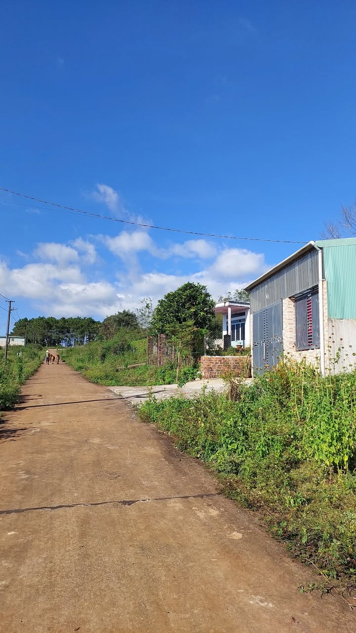 Đất thổ cư 135m² tại phường Hội Phú, Gia Lai - Giá chỉ 300 triệu VND!