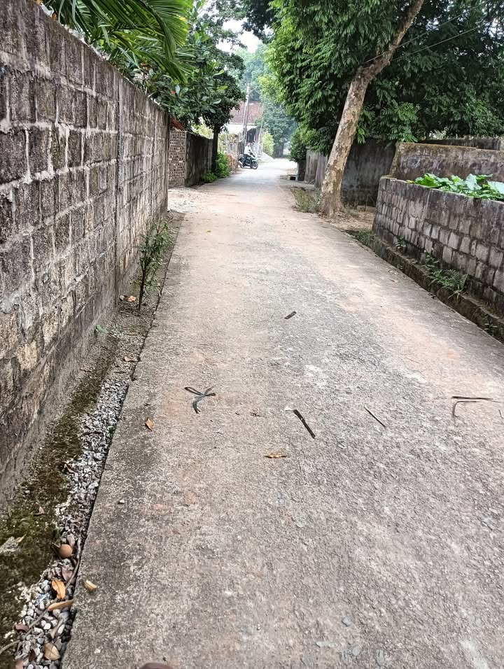 Lô đất Chính Lý - Lý Nhân - Hà Nam 213m² giá 1.3 tỷ - Đầu tư sinh lời ngay!