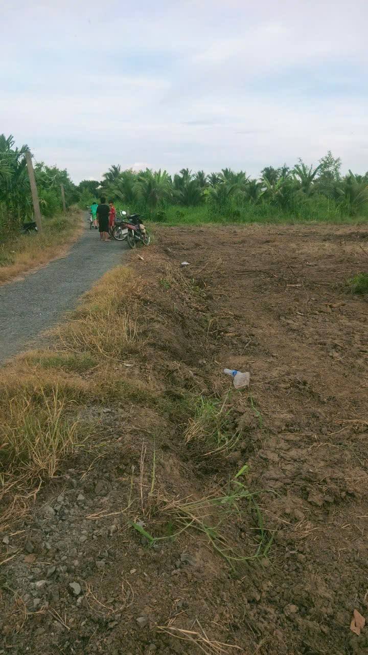 Đất vườn 35.000m² ấp Thanh Đăng Chợ Gạo giá chỉ 700 triệu - Cơ hội đầu tư tốt!