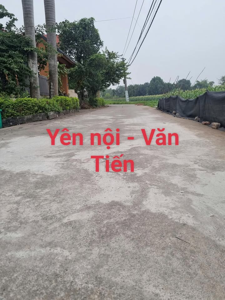 Đất thổ cư 100m² tại Yên Lạc giá chỉ 2 tỷ - Sổ hồng sang tên ngay!