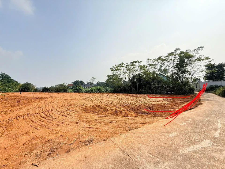 Đất nền chính chủ tại Nhà văn hóa khu 7 Thanh Đình, Việt Trì 149m² - Giá chỉ từ 1 tỷ VND!