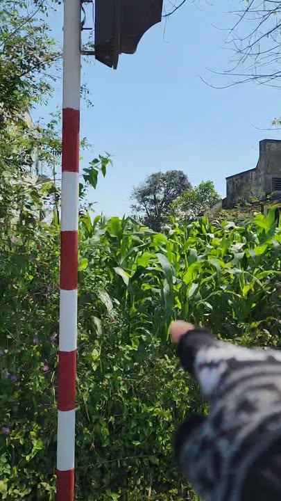 Đất thổ cư lô góc Dung Quất Sa Huỳnh 150m² giá 600 triệu - Cơ hội đầu tư tuyệt vời!