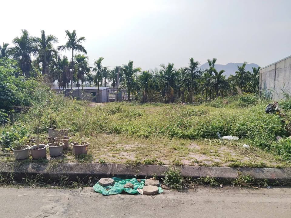 Đất nền tại Khu TĐC Gia Minh, Thủy Nguyên, Hải Phòng 80m² giá 1.18 tỷ - Cơ hội đầu tư tốt!