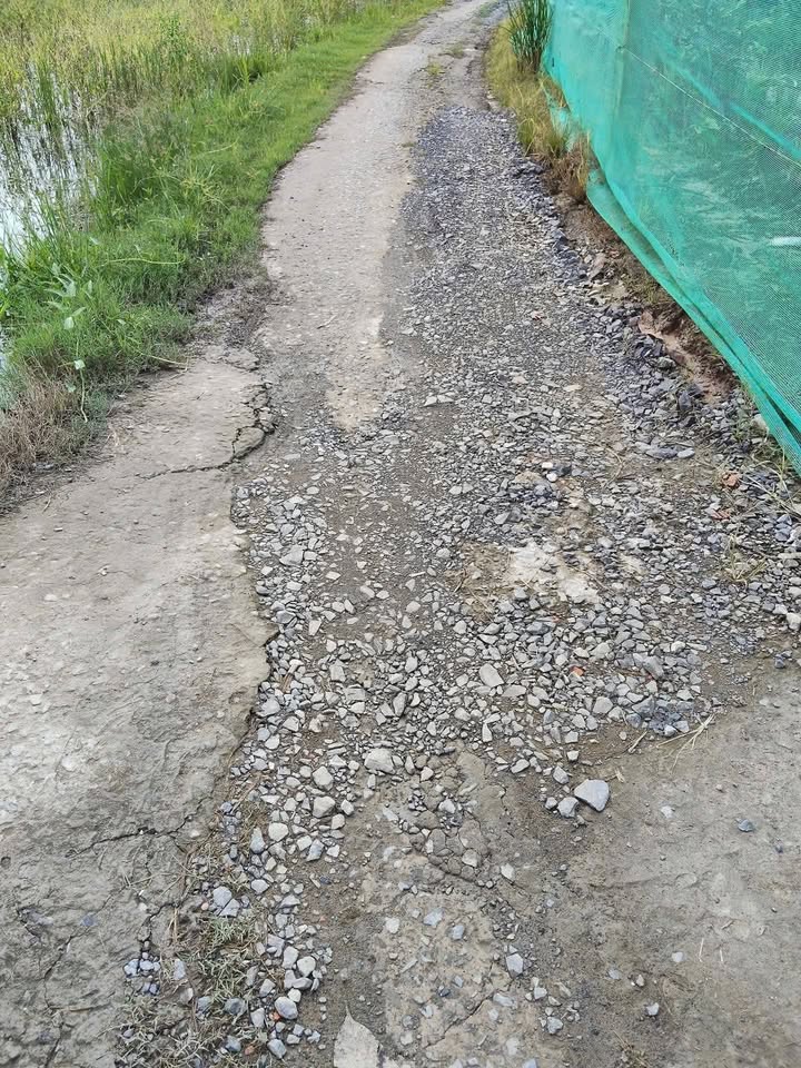 Đất nền 1000m² Ấp 2 Thạnh Đức Bến Lức - Giá chỉ 700 triệu - Đầu tư thắng lợi!