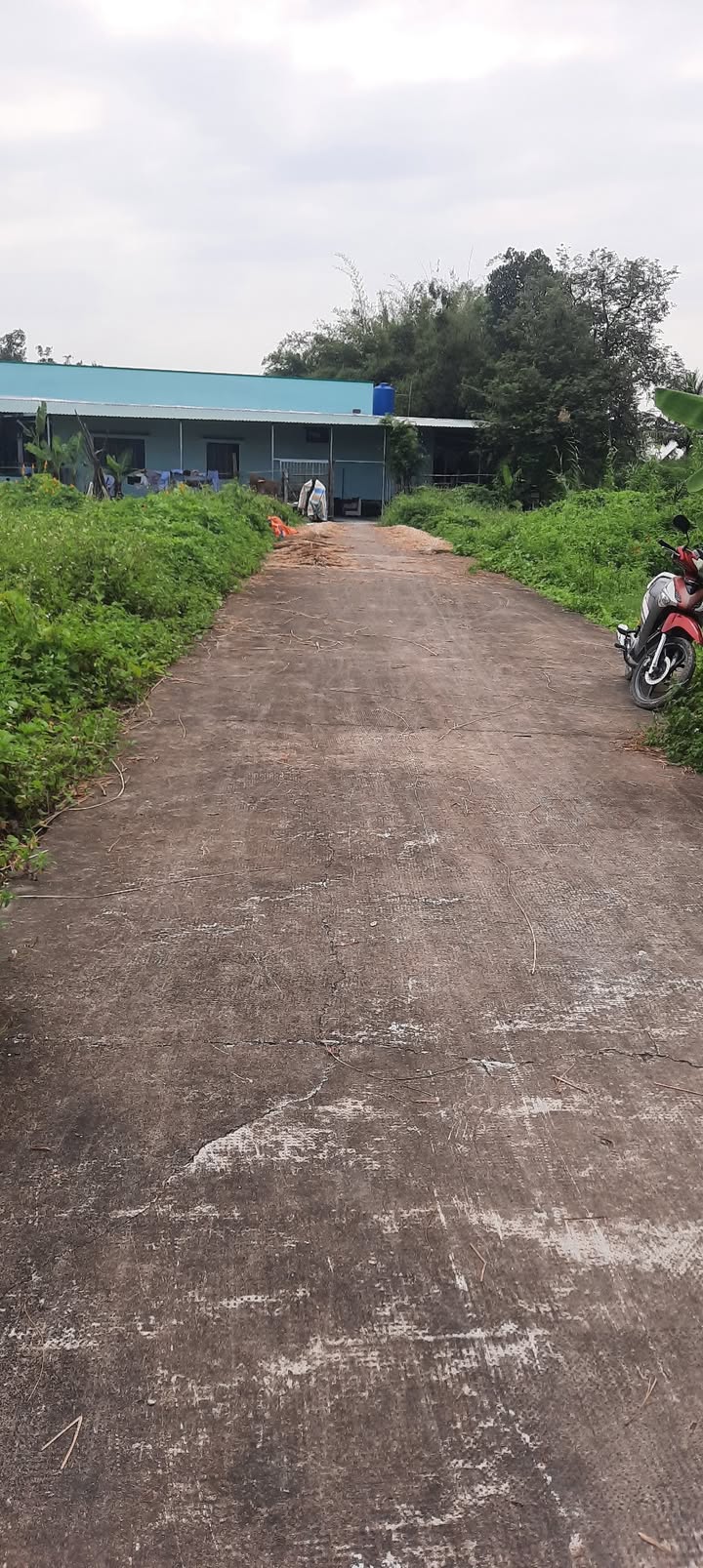 Đất nền KDC TT Xã Long Cang 104m² giá 799 triệu - Đầu tư sinh lời ngay!