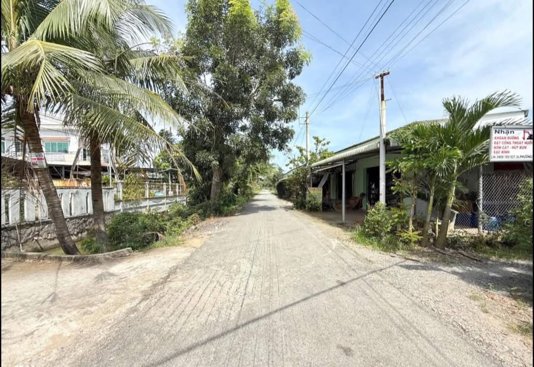 Đất vườn Phước Lý, Cần Giuộc 600m² - Giá chỉ 1.33 tỷ, đầu tư sinh lời!