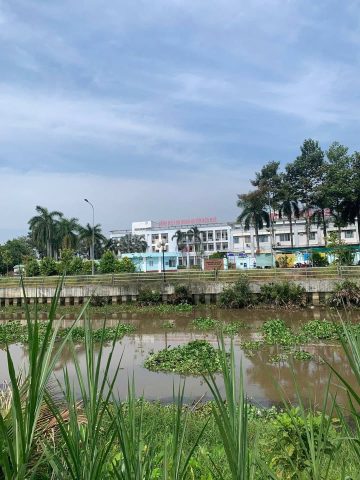 Đất thổ cư 3589m² mặt tiền đường nhựa tại Mỹ Thạnh Đông - Giá chỉ 7.3 tỷ!