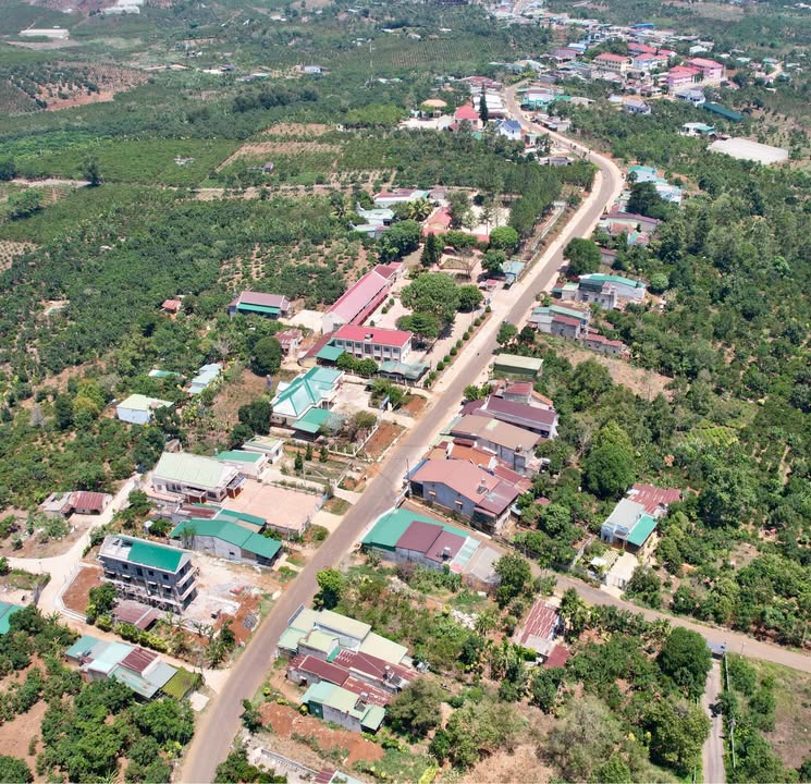 Đất nền Lộc Đức Bảo Lâm 259m² giá 1.25 tỷ - Cơ hội vàng không thể bỏ lỡ!