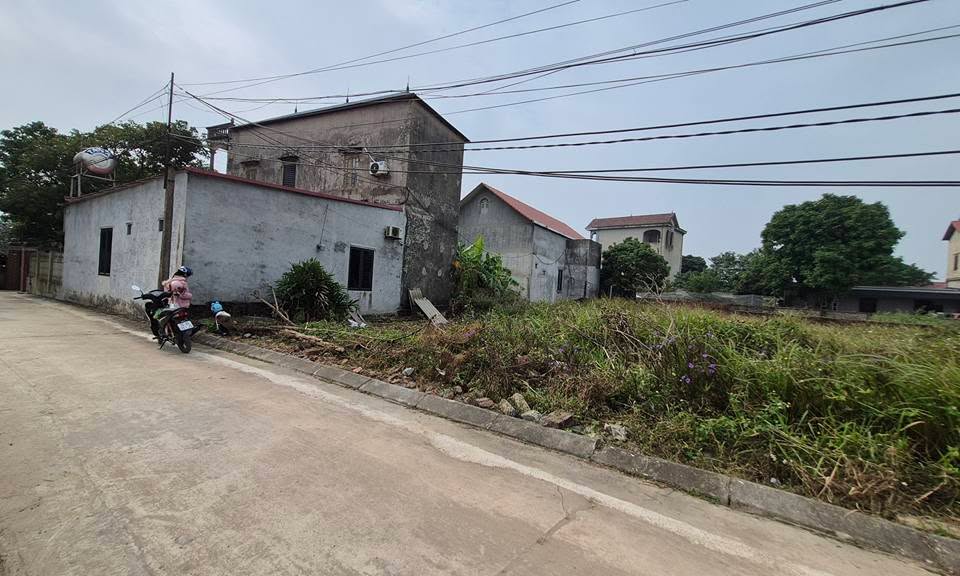 Bán đất thổ cư 115m² tại Tân Minh, Sóc Sơn - Giá 1.725 tỷ, vị trí đắc địa!