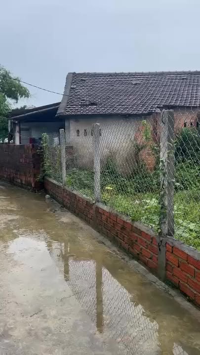 Đất thổ cư 500m² tại Vĩnh Lý, Phù Mỹ giá chỉ 300 triệu - Cơ hội đầu tư tuyệt vời!