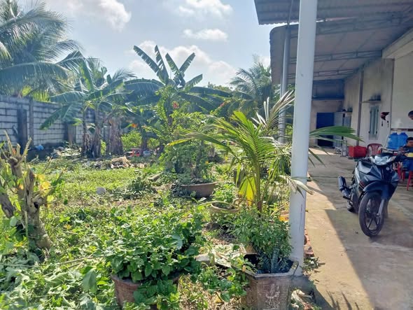 Nhà vườn xã Tân Hà, huyện Hàm Tân 1470m² giá 1.45 tỷ - Đất đẹp, sẵn sàng ở ngay!