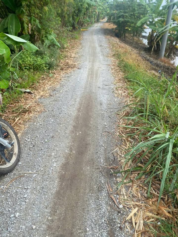 Đất nền 7 công tại xã Cần Đăng, Châu Thành, An Giang - Giá 441 triệu, thuận lợi xây dựng nghỉ dưỡng!