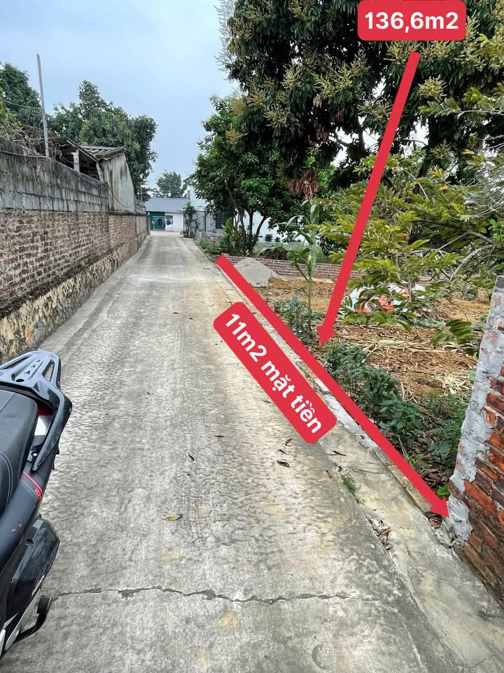 Đất nền Yên Thái Quốc Oai 136,6m² - Sổ đỏ chính chủ, giá thương lượng