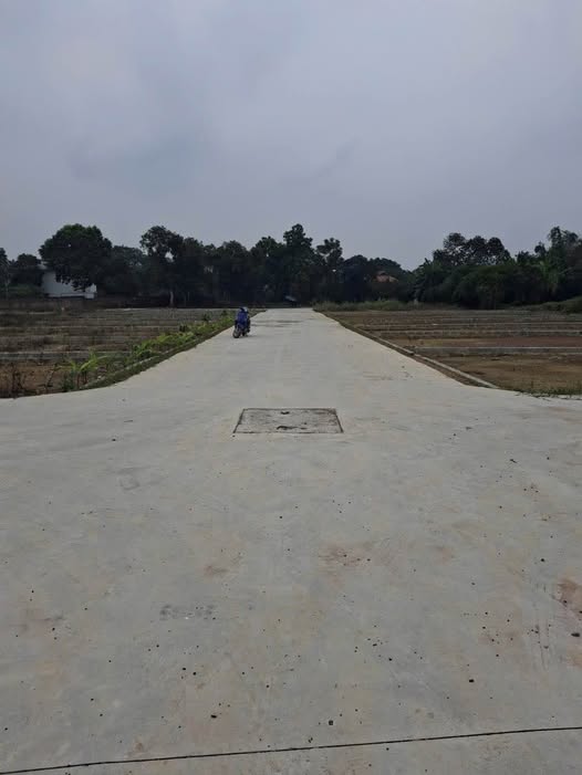 Đất nền Lương Sơn Hòa Bình 110m² giá chỉ 400 triệu - Cơ hội đầu tư hấp dẫn!