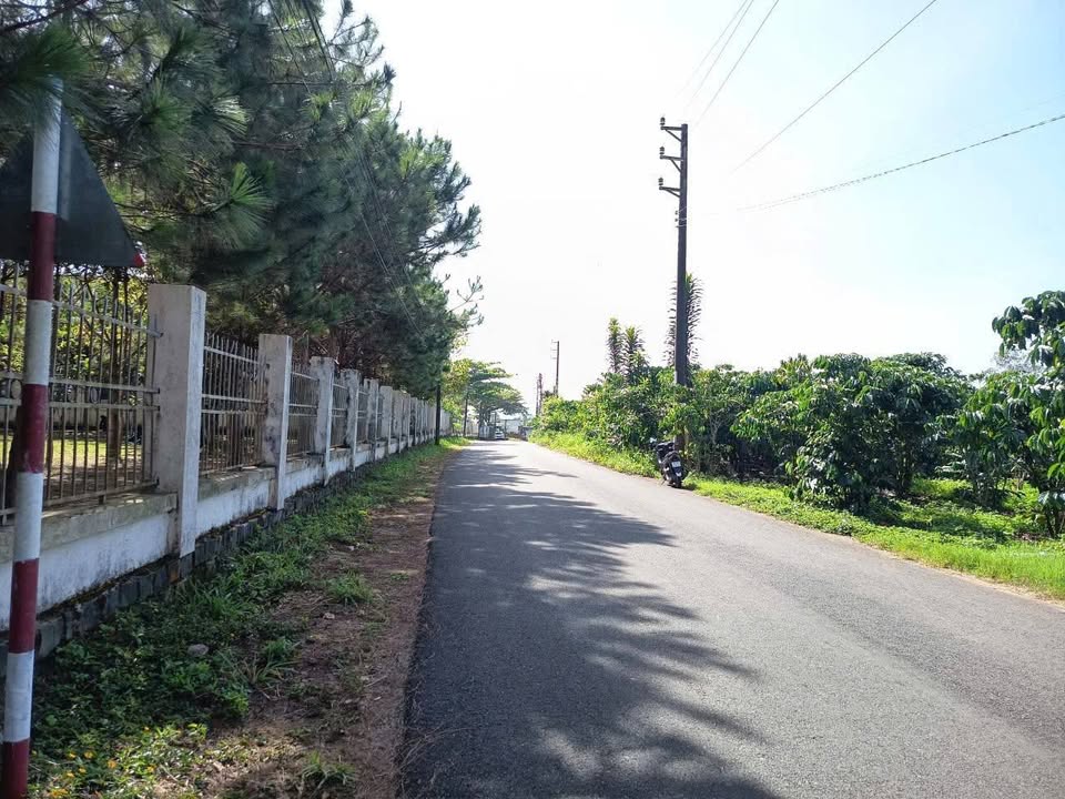 Đất nền Trảng Bom 880m² giá 4 tỷ - Sổ hồng chính chủ, gần trường học!