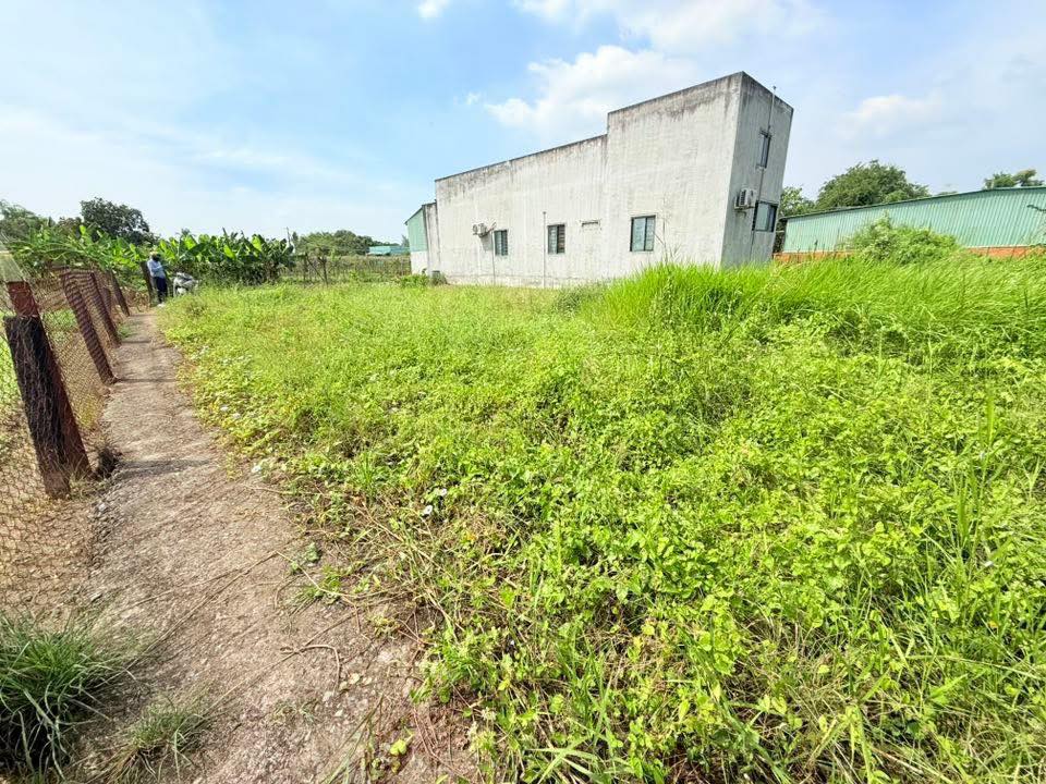 Đất nền liền kề tại xã Phước Lợi, Bến Lức - 780 triệu, sổ hồng chính chủ!