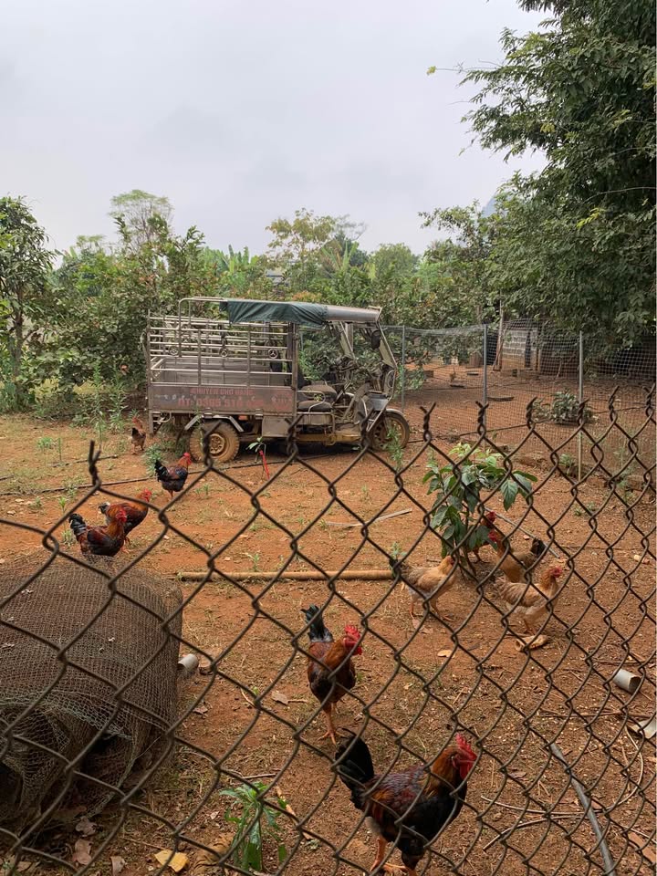 Đất vườn 3500m² tại Chiềng Mung, Sơn La - Sẵn sổ đỏ, nhà sàn 2 tầng