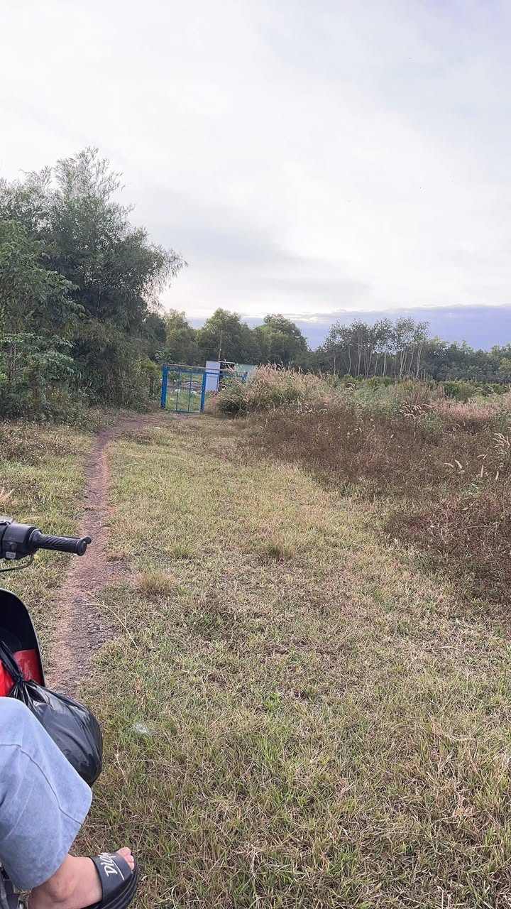 Đất nền Lộc Phú 7200m² giá chỉ 220 triệu - Sổ đỏ chính chủ ngay mặt tiền!