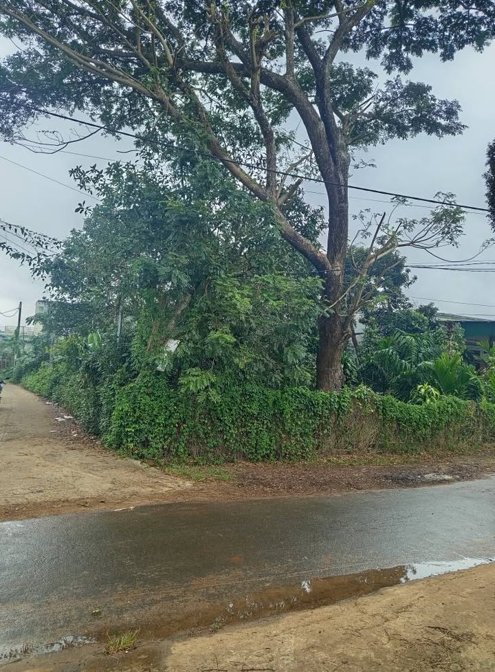 Đất nền 2 mặt tiền đường Nguyễn Du, Ea Kar 246m² giá 1.15 tỷ - Cơ hội đầu tư sinh lời!