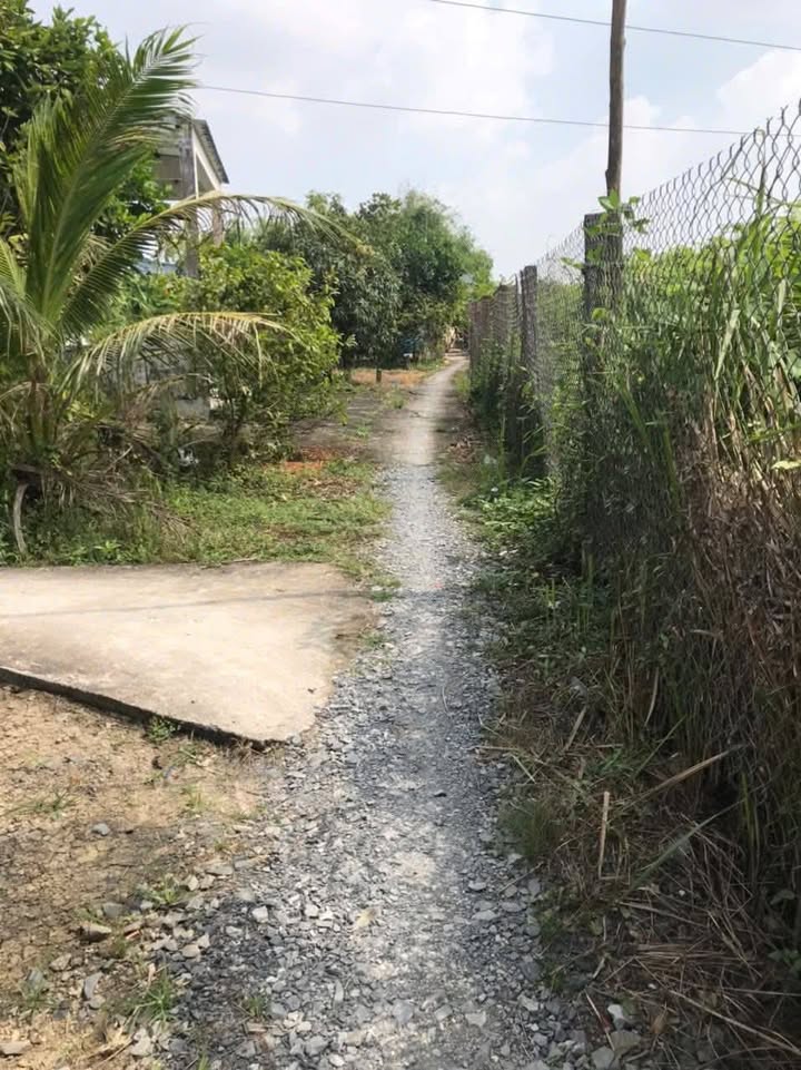 Nhà cấp 4 225m² tại ấp Phú Thạnh, Cần Giuộc - Giá chỉ 950 triệu, thương lượng trực tiếp!