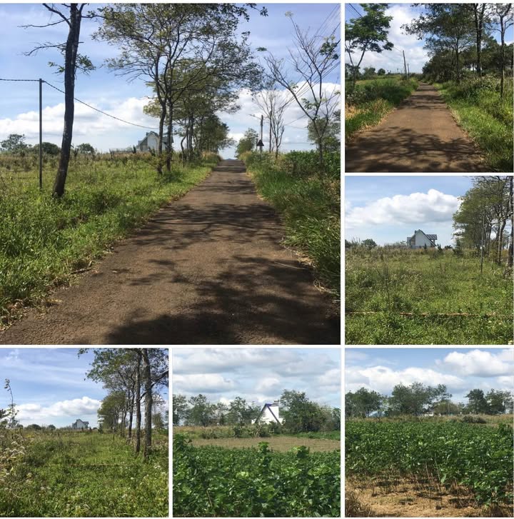 Đất nghỉ dưỡng ĐamB’ri Bảo Lộc 500m² giá 1.6 tỷ - Địa thế cao đẹp