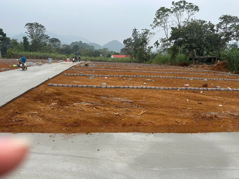 Đất Thạch Quảng - Thạch Thành 110m² giá chỉ 100 triệu - Đầu tư sinh lời ngay!