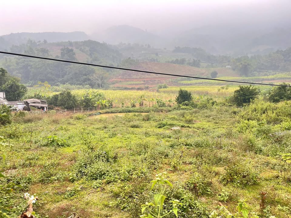 Lô đất Tây Phong, Cao Phong 2300m² giá 1 tỷ - Không gian sống lý tưởng!