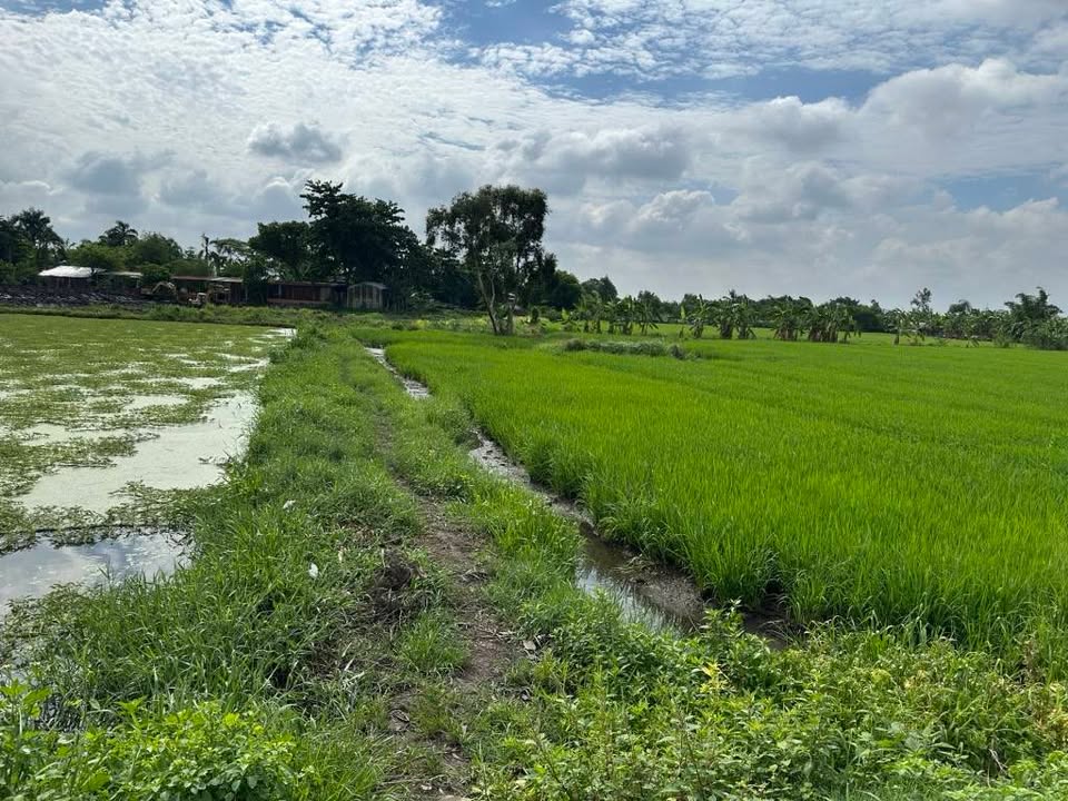 Đất 999m² tại Hóc Môn giá 3 tỷ - Đường xe tải đậu trước nhà!