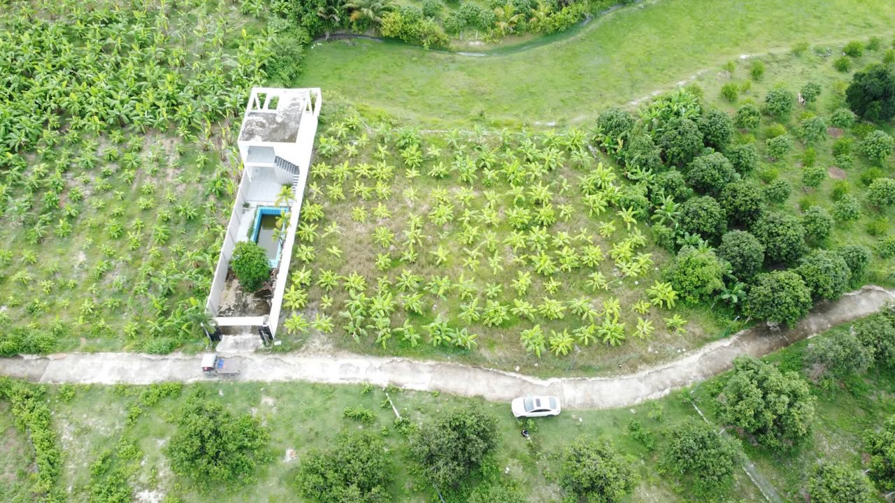 Bán Đất Suối Tiên Diên Khánh 1611m² giá chỉ 6.43 tỷ - Nhà vườn 2 tầng tuyệt đẹp!