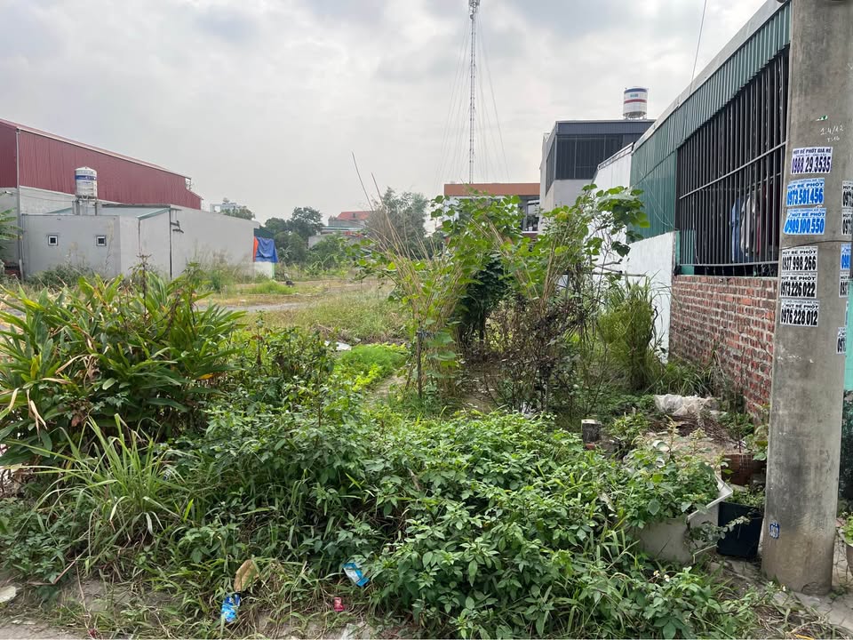 Đất nền liền kề tại khu 9 phường Thanh Sơn, Uông Bí, 110m² - Giá chỉ 1.1 tỷ!