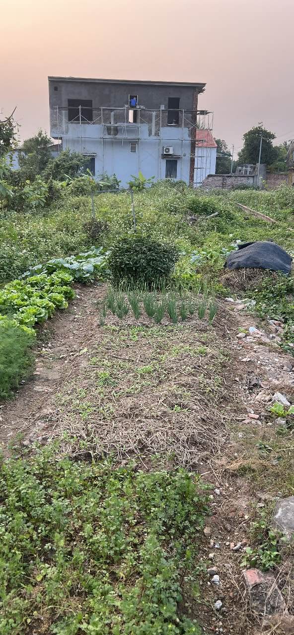 Đất nền Dương Quang 107m² giá 5 tỷ - Mặt đường Lê Quang Hòa, kinh doanh sầm uất!