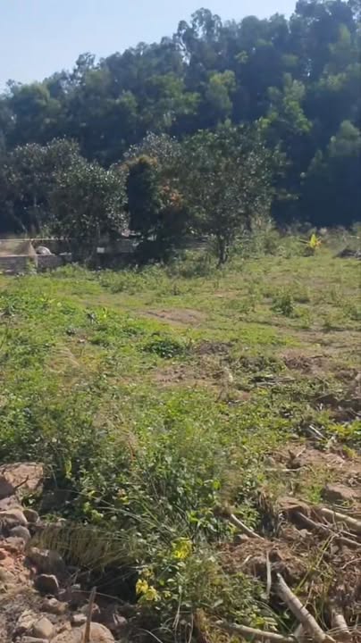 Đất nền Yên Lư Yên Dũng 13000m² giá 16.9 tỷ - Cơ hội đầu tư hấp dẫn!