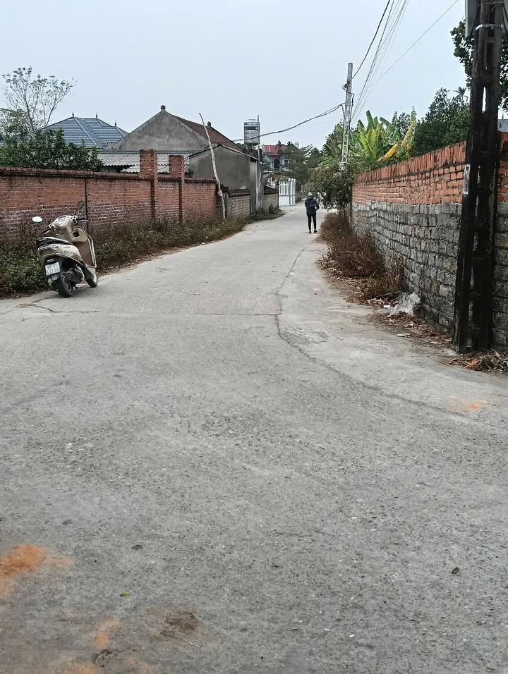 Đất thổ cư 100m² thôn Danh Thượng 3, Hiệp Hòa - Giá chỉ 1.1 tỷ!