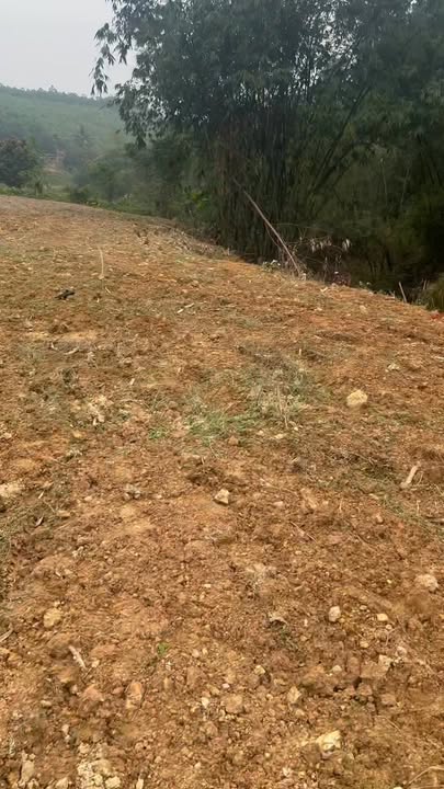 Đất nền Hưng Thi Lạc Thủy 4200m² giá chỉ 3.528 tỷ - Cơ hội đầu tư tuyệt vời!