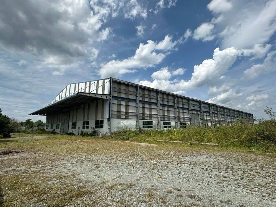 Cho thuê xưởng 5000m² đường Quốc lộ N2, xã Tân Long, huyện Thủ Thừa - Tiềm năng phát triển lớn!