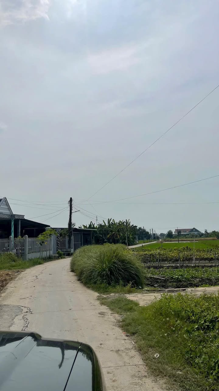 Nhà mặt tiền đường Đan Liên, Phước Lợi, Bến Lức 152m² giá 2.1 tỷ - Đầu tư sinh lời!