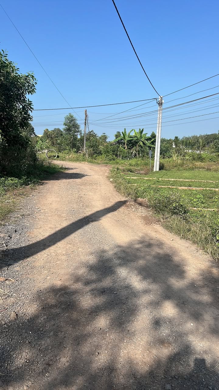 Đất thổ cư xã An Viễn 120m² giá 800 triệu - Đầu tư sinh lời ngay!