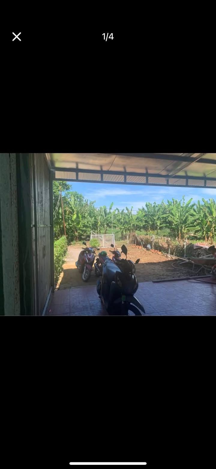 Nhà Trảng Bom 144m² giá chỉ 300 triệu - Cần bán gấp siêu rẻ!