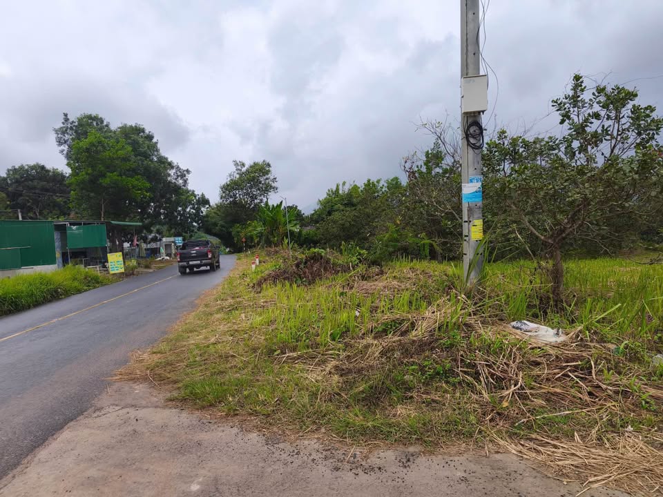 Đất Farm 8 xào tại Xã La Dạ, Huyện Hàm Thuận Bắc - Giá chỉ 150 triệu