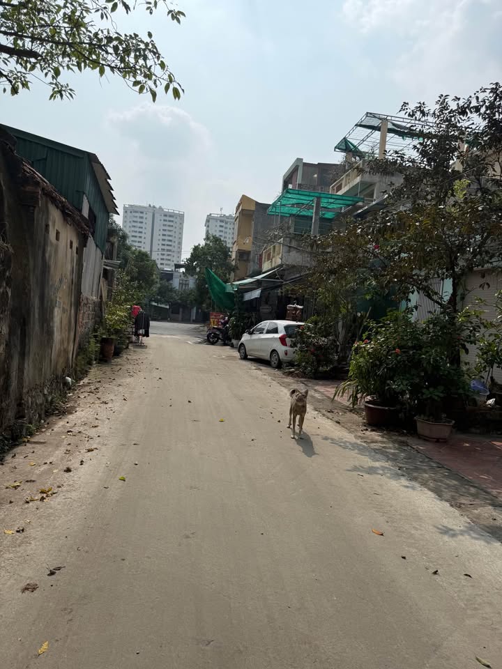 Đất nền đẹp phường Đông Vệ, Thanh Hóa 112.5m² - Giá chỉ 5.625 tỷ!