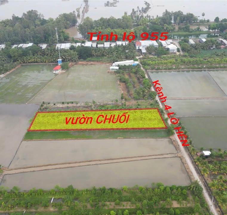 Đất nền 3000m² tại đường kênh 4 Lò Hên, phường Vĩnh Tế, Châu Đốc - Giá chỉ 1.08 tỷ!